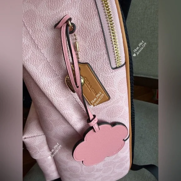 NWT！COACH Taylor Small Backpack In Signature With Charms（CEF46）fast shipping - Picture 6 of 14